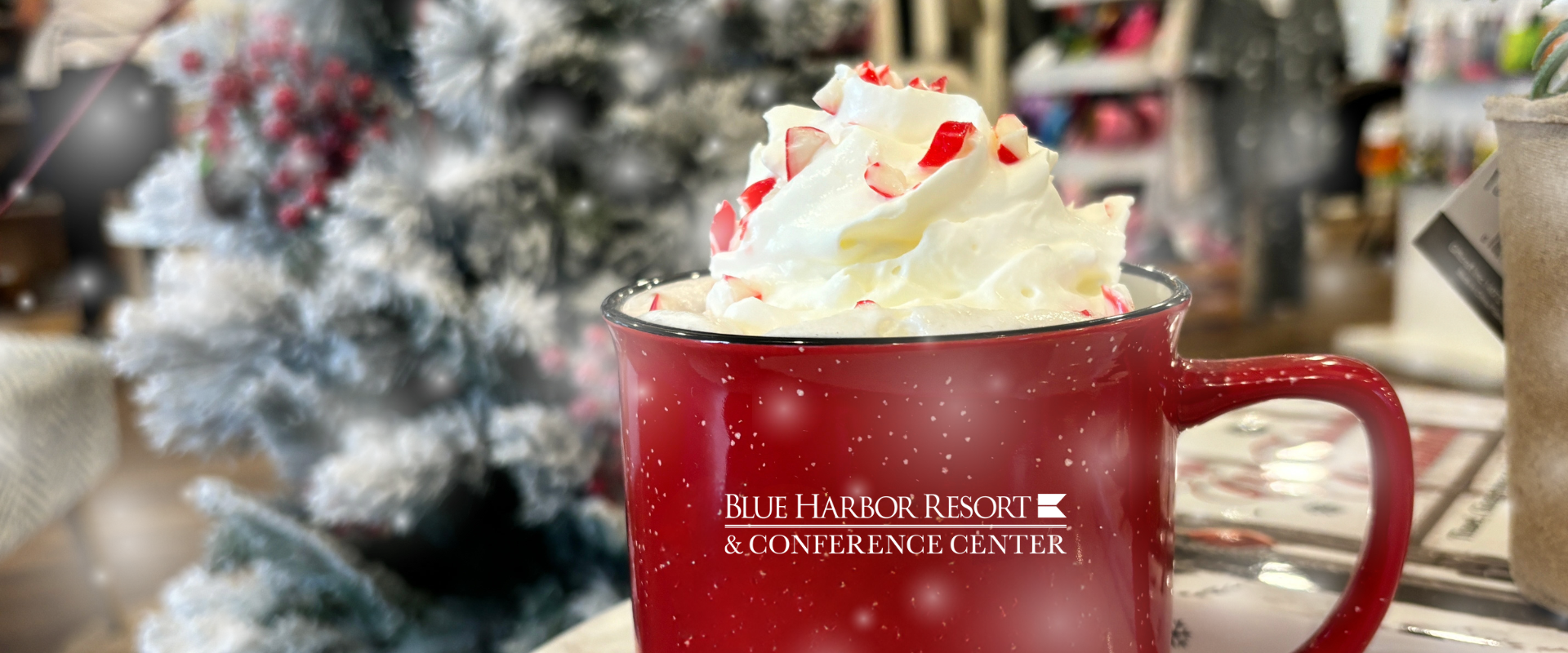 2025 HOLIDAY GIFT GUIDE LAKE LIFE WEB HEADER