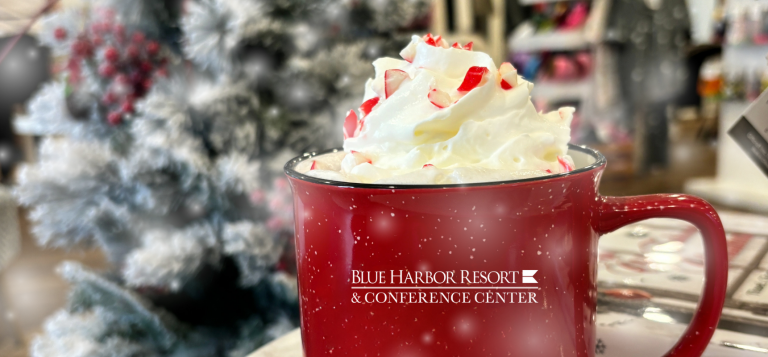 2025 HOLIDAY GIFT GUIDE LAKE LIFE WEB HEADER